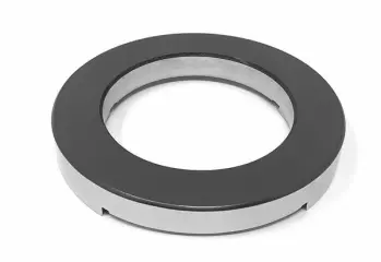 FKL150 Rotor Seal Ring ChrOx; Replaces Fristam Part# 1810600066