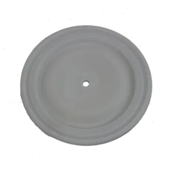 NOMAD® diaphragm pump part N02-1040-55, Full Flow, PTFE Replaces Wilden® 02-1040-55