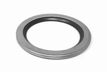 CL Lip Seal (Flush) 31.75mm; Replaces Alfa Laval Part# 9612711701