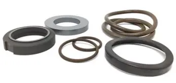 WCB2075/2085LR Type 1 Complete C/PB/FKM; Replaces Waukesha Cherry-Burrell Part# 309-247LR