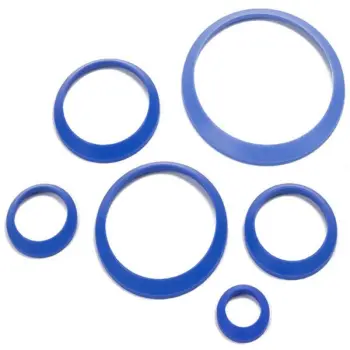 Sanitary Pump Part Springer&reg; Parts 301-TM-BTSP part number 