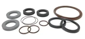 WCB2105 Type 4 Complete Kit, C/PB/FKM; Replaces Waukesha Cherry-Burrell Part# 309-256