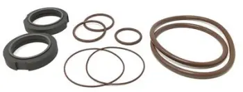 WCB2075/2085 Type 4 Basic Kit, C/FKM; Replaces Waukesha Cherry-Burrell Part# 309-251
