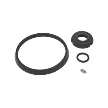 Springer Parts C114-1SP BUNA PUMP KIT C-SERIES TC; Replaces Alfa Laval C114-1