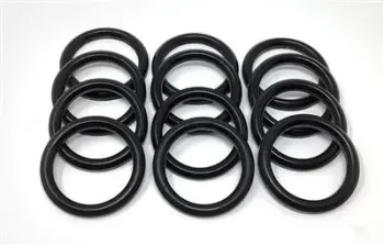 Springer Parts J504009SP2 Plunger Packing, Garlock (12/PK); Replaces APV® J504009