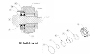 q-pumps-qp1-double-o-ring-seal