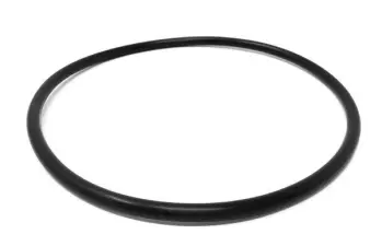 Cover Gasket, EPDM (65502619); Replaces Fristam® Part# 1180000357