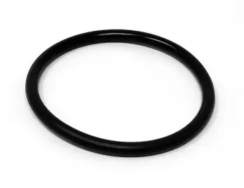 O-Ring, NBR (FDA) (EA); Replaces APV&reg; Part# 543S131337.1