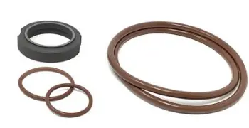 WCB2105 Type 1 Basic Kit, C/FKM; Replaces Waukesha Cherry-Burrell Part# 309-244