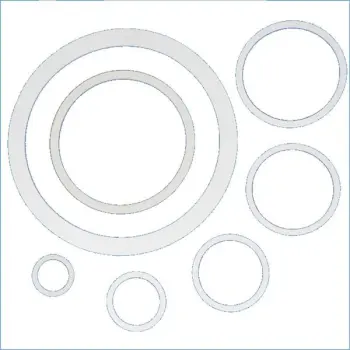 Sanitary Pump Part Springer&reg; Parts 40IE-4SP part number 