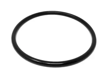 O-Ring, NBR (FDA) (EA); Replaces APV&reg; Part# 543S131356