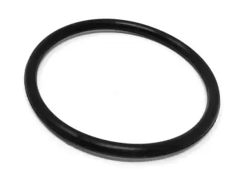 Springer Parts 930-168SP O-Ring, FPM; Replaces Tuchenhagen Part# 930-168