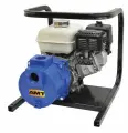 AMT® 4789-95 2 Stage, Self-Priming High Pressure Centrifugal Pump