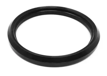 Lip Seal FPM Pos 56 2" (9613008614); Replaces Alfa Laval Part# 9613095105