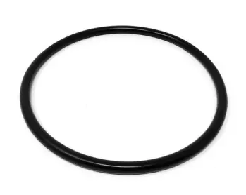 O-Ring, FPM HOUSING W+; Replaces AMPCO&reg; Part# L773079