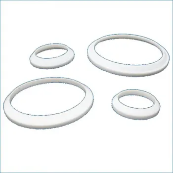 Sanitary Pump Part Springer&reg; Parts 304-TMSP part number replaces 