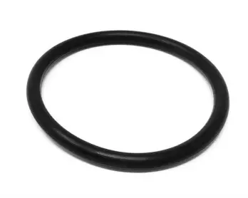 FKL25 Seal O-Ring, EPDM; Replaces Fristam® Part# 1180000220