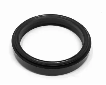 Lip Seal NBR Unique 2" with BAL PLG; Replaces Alfa Laval Part# 9613008522