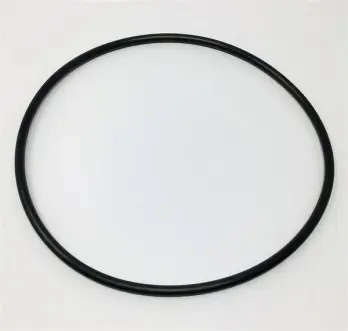 O-Ring, EPDM CASING with W+; Replaces AMPCO® Part# L771627