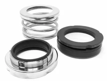 ZCH2-1.625 Seal Kit, C/Cer/FKM; Replaces AMPCO Part# GS8105530-01